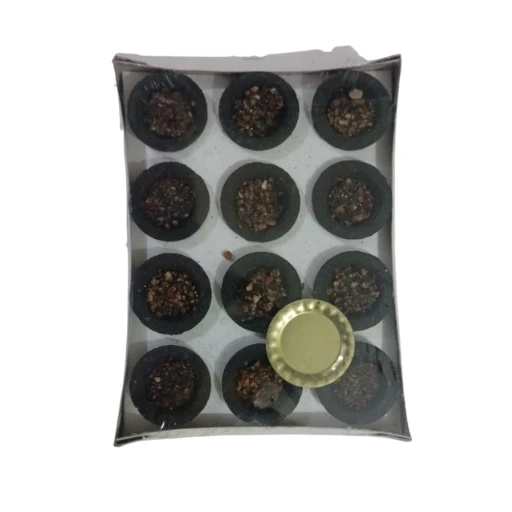 Divine Mooligai Sambrani Cups – Pure Herbal Dhoop for Puja, Meditation & Air Pur